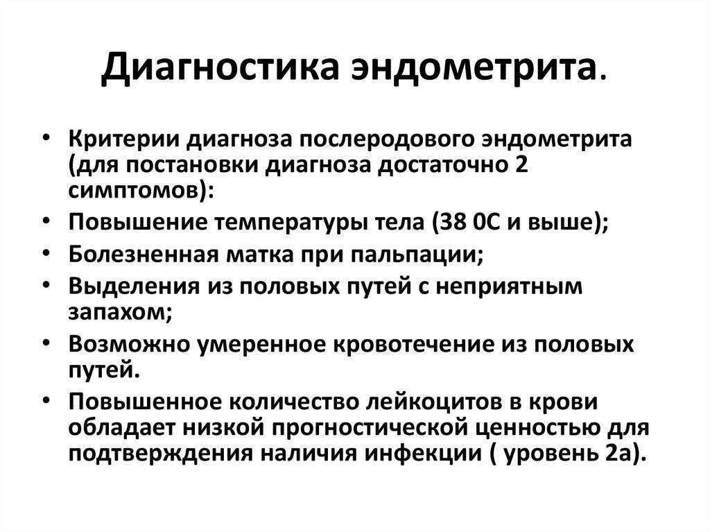 Эндометрит у кошки: причины его появления, осложнения и лечение