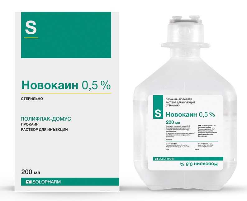 Вирус иммунодефицита у кошек: симптомы, как передаётся, лечение