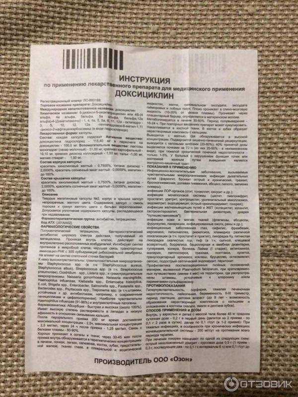 Доксициклин для кошек - инструкция по применению препарата