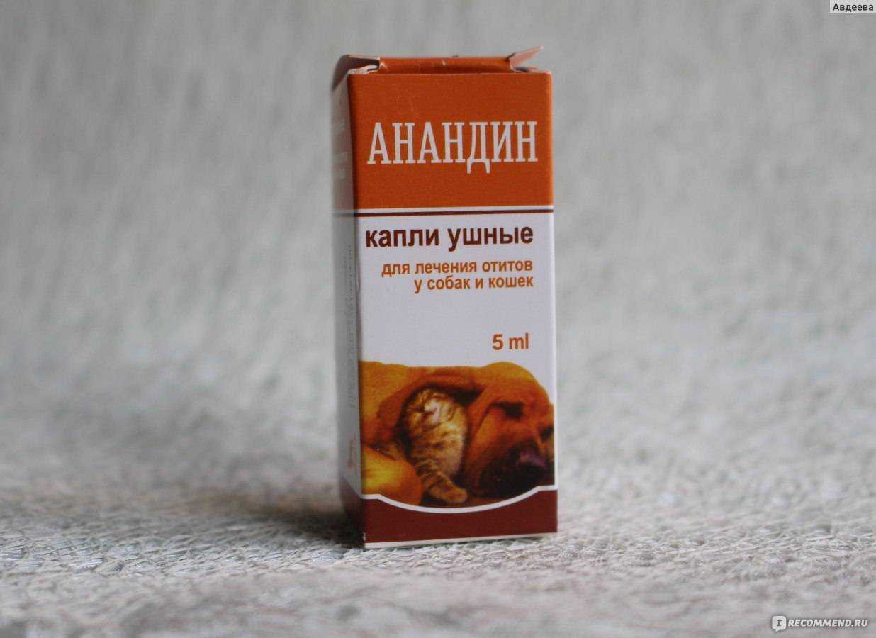 Анандин для собак: противовирусный препарат для различных болезней- обзор
