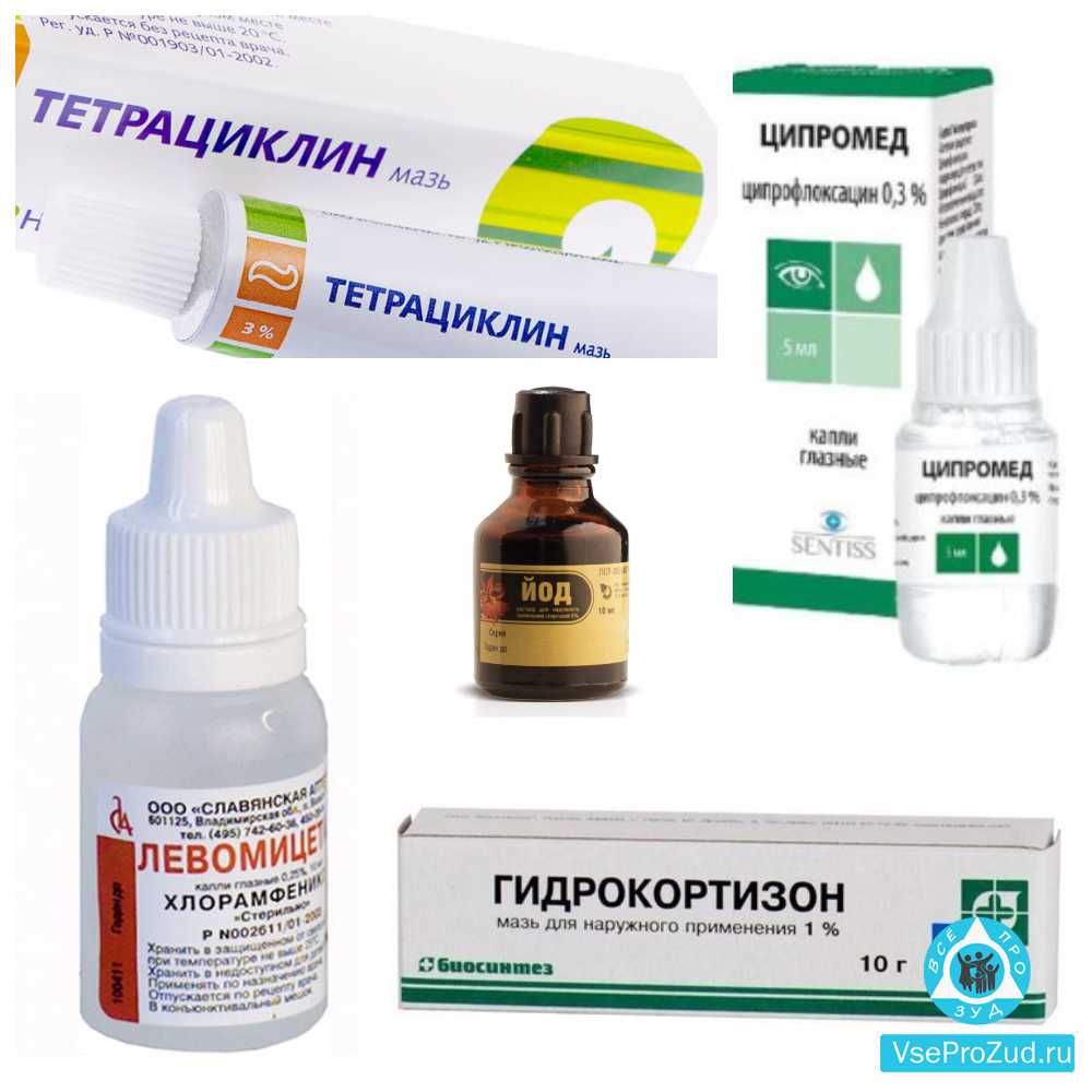 Глазные капли тобрекс для кошек: инструкция и дозировка. можно ли капать препарат в глаза котятам?