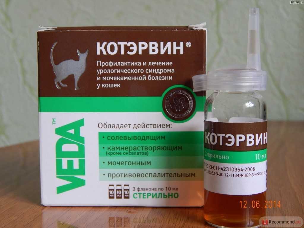 Нефрокэт: как применять, покозания к назначению. дозировка.