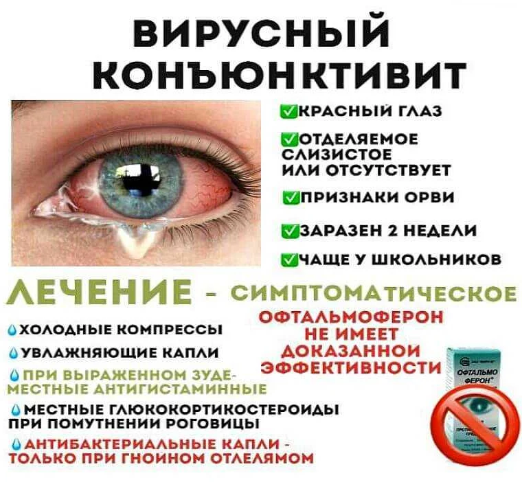 Глазные капли для собак: какие есть противомикробные, при глазных болезнях от воспаления, при гнойных выделениях, как закапать - блог о животных - zoo-pet.ru