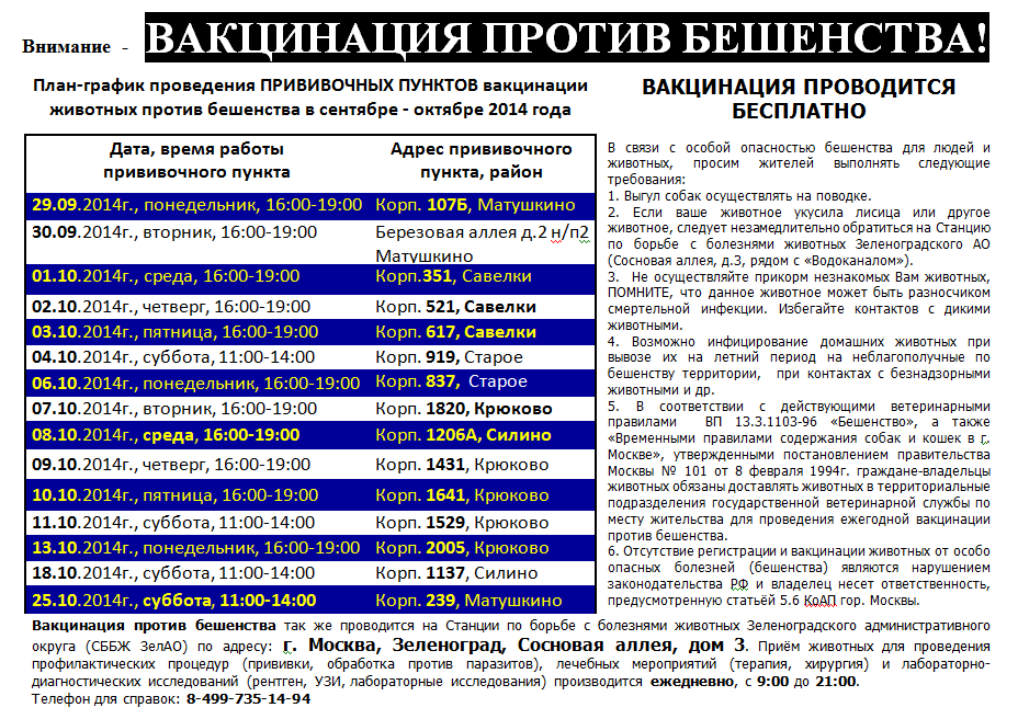 Собака хромает после укола от бешенства - причины и как помочь