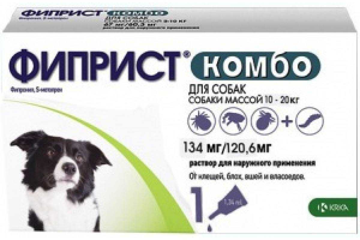 Фиприст  — так ли эффективно средство от блох и клещей для кошек?