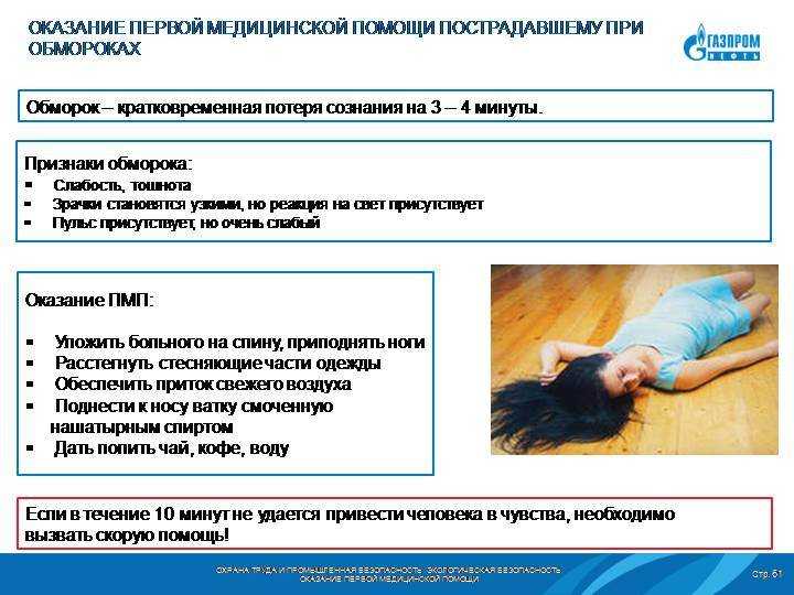 По каким причинам собака может терять сознание: механизмы появления обмороков