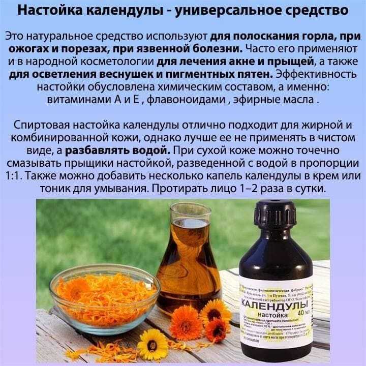 Календула для собак