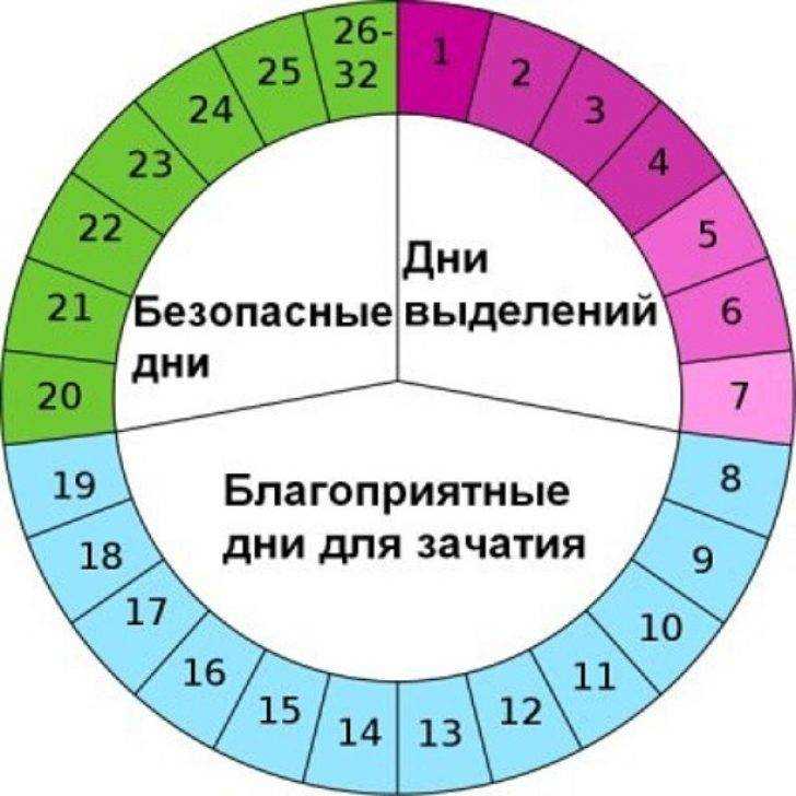 С какого возраста кошка может забеременеть первый раз, когда ей можно рожать?