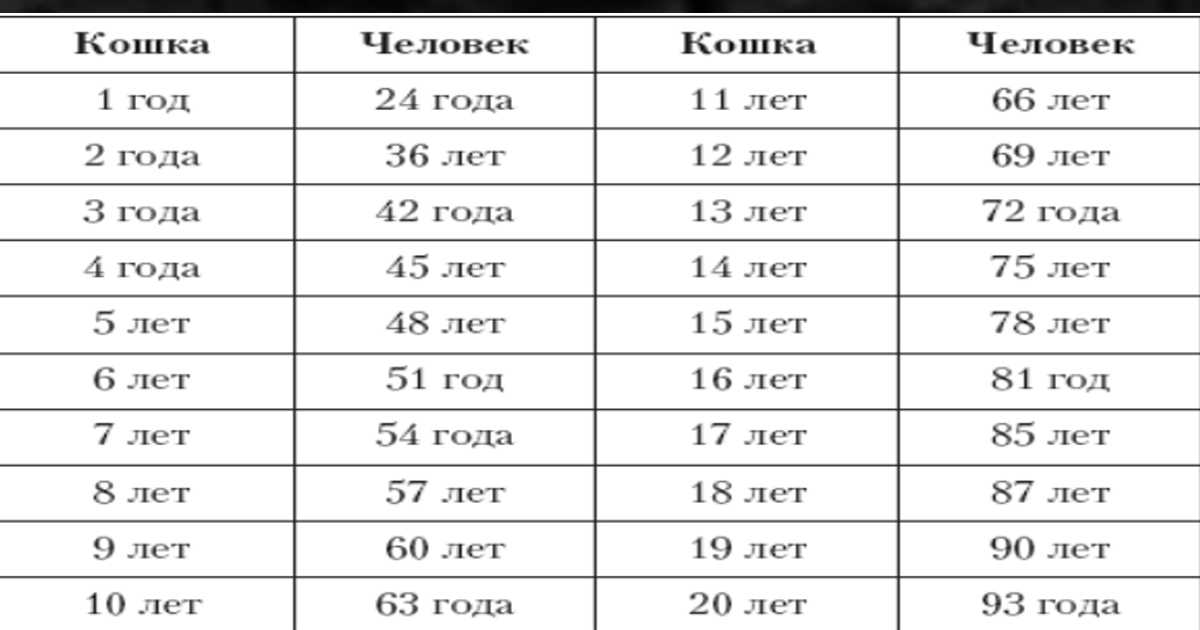 Болезни кошек