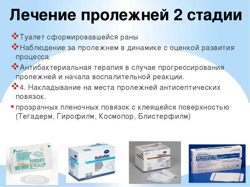 Пролежни у собак и котов. как их лечить