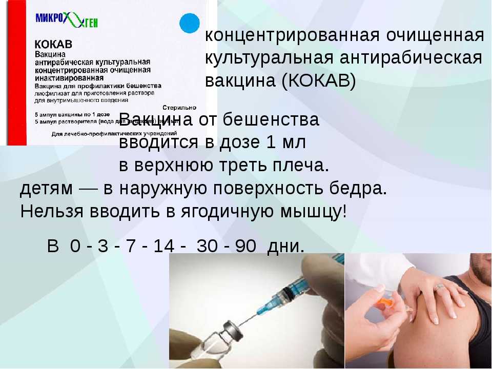 Рабизин - вакцина для собак