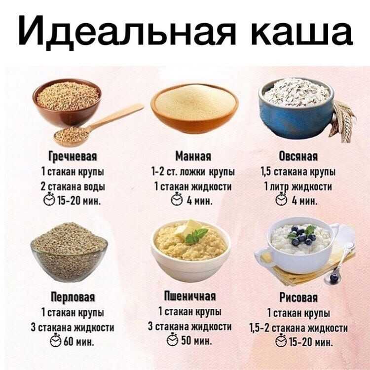 Каши для собак: какие можно давать и как вкусно приготовить?