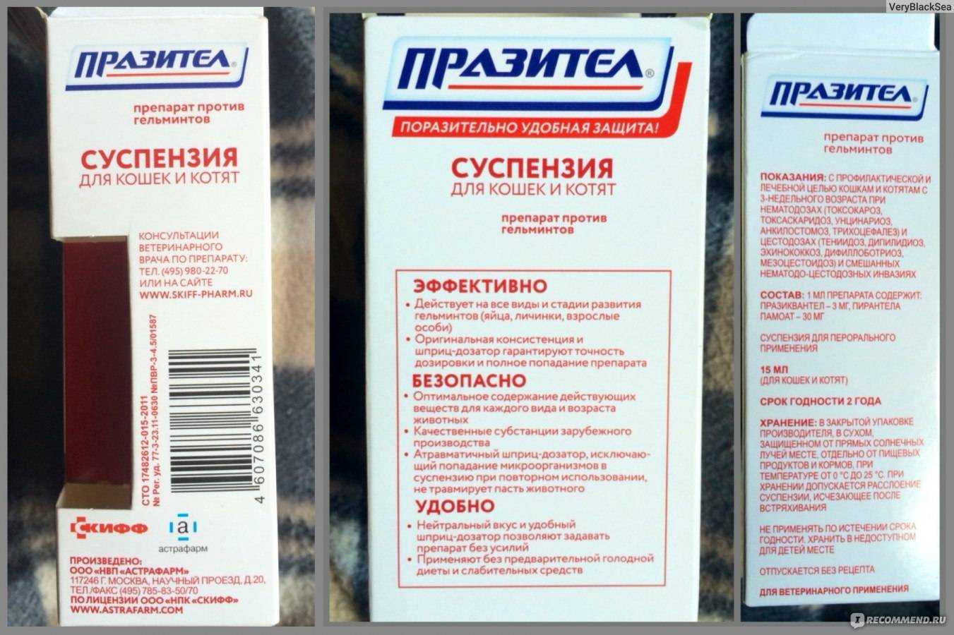 Страйд плюс для кошек: инструкция, состав, аналоги и побочные эффекты применения. как давать витамины котам и можно ли stride plus feline котятам?