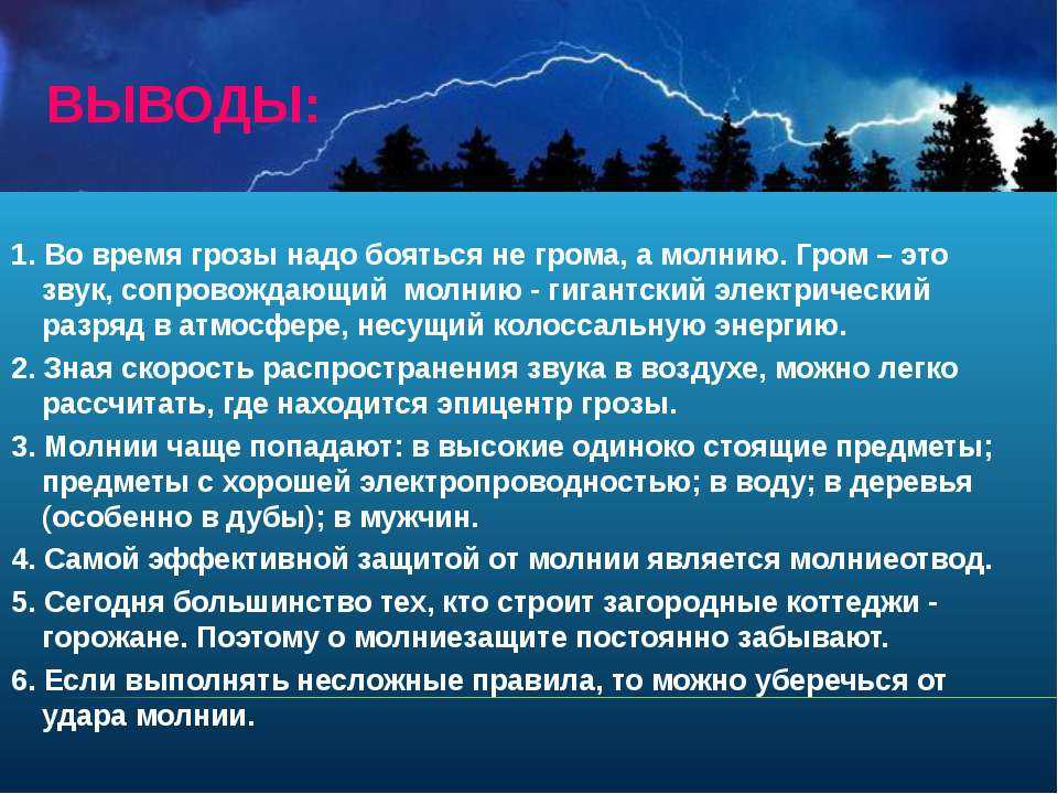 Как действовать хозяину собаки, которая сильно боится грозы и грома