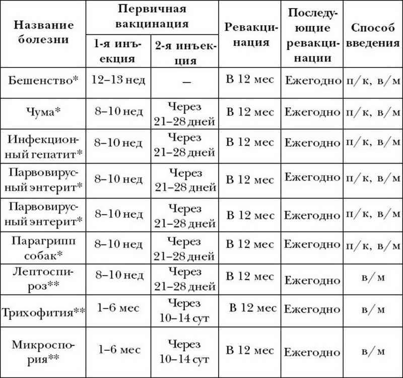 Вакцина вакдерм: инструкция по применению - вет-препараты