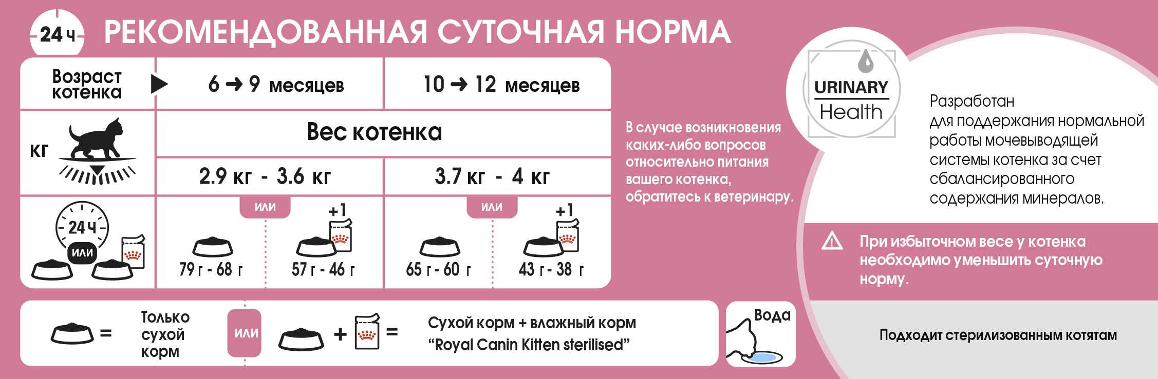 Каким кормом кормить сфинкса