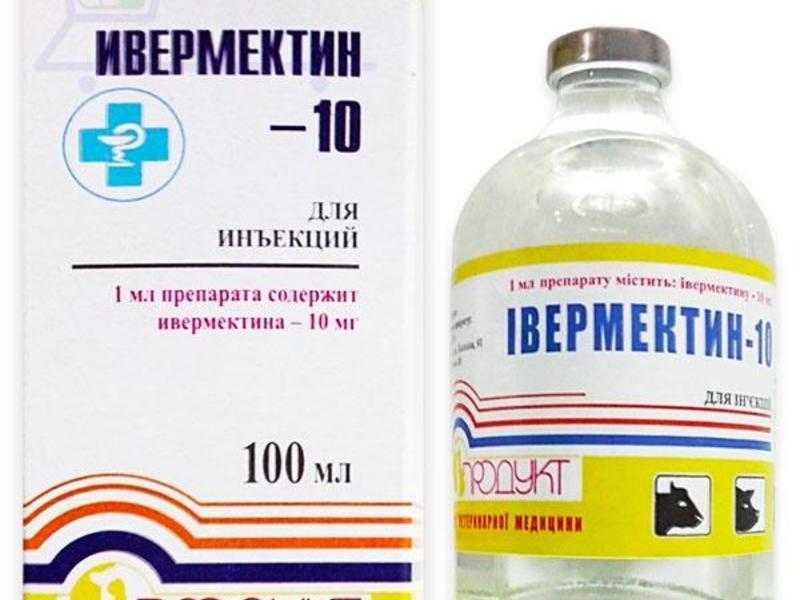 Новомек для кошек: инструкция к применению в ветеринарии, дозировка, показания и противопоказания, отзывы, стоимость, аналоги