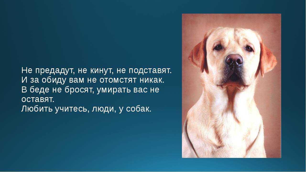 Пословицы и поговорки о дружбе и вражде