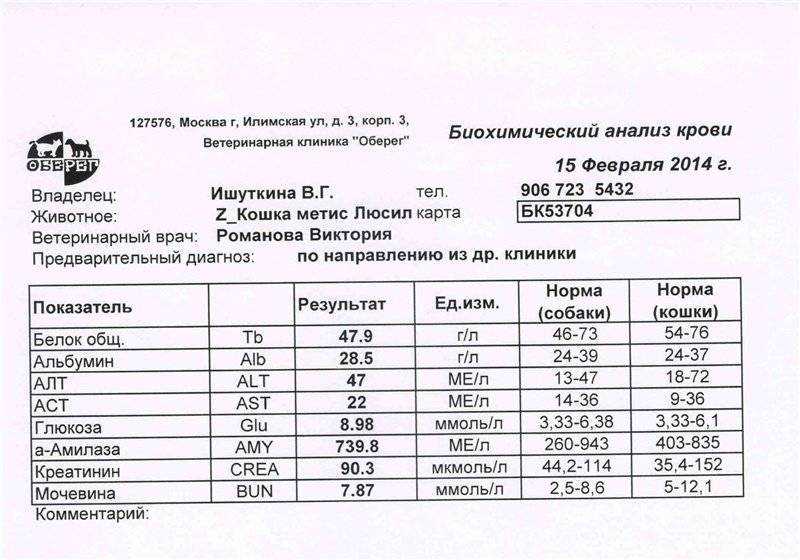 Что означают показатели биохимического анализа крови у собак