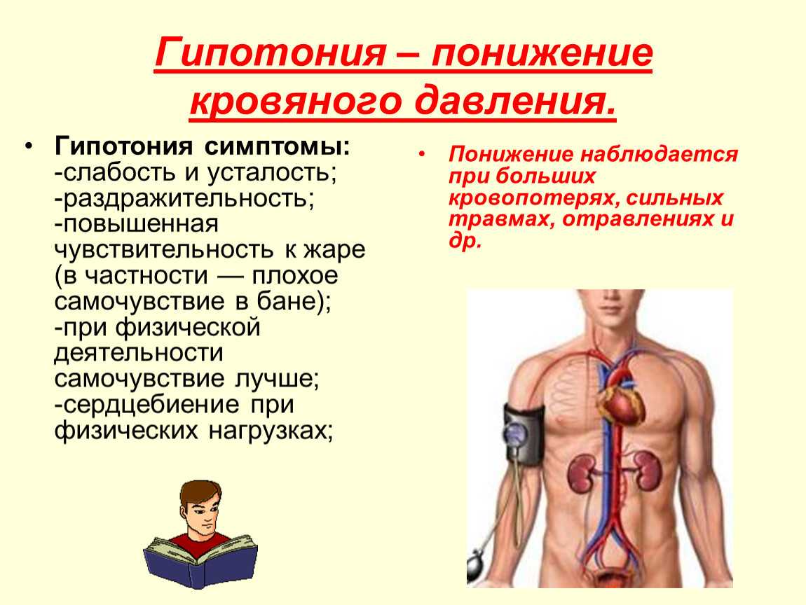 Симптомы у собак при гипертонии