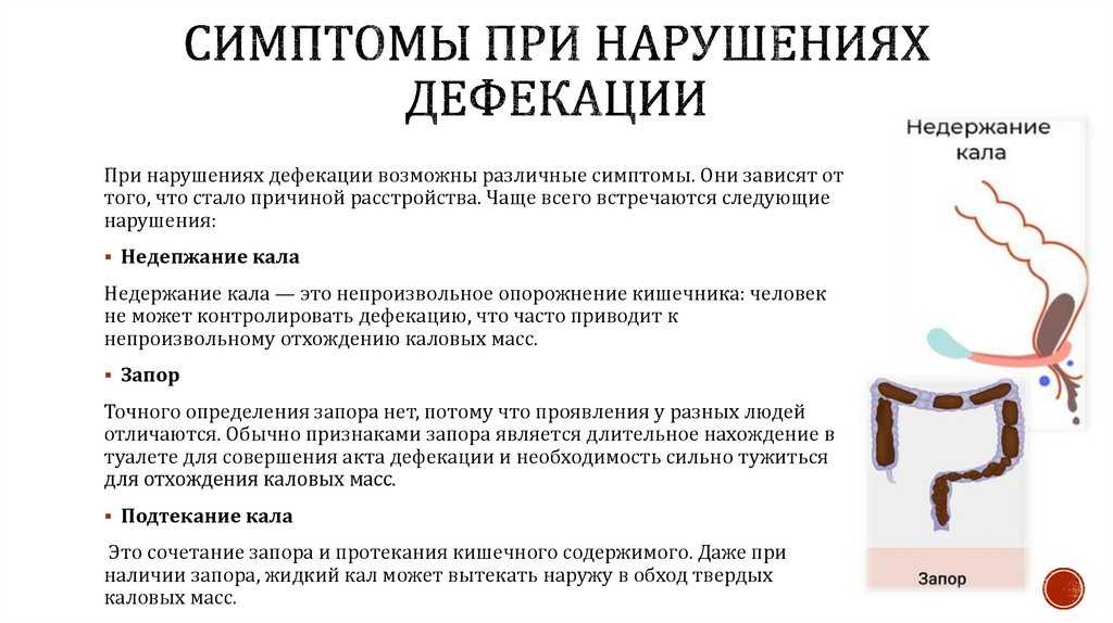 Причины недержания кала у котят и взрослых кошек: почему фекалии не держатся, что делать, каким должно быть лечение?