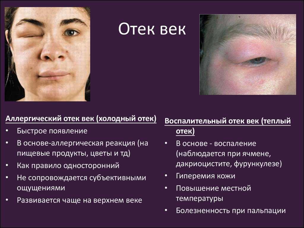 Раствор рингера-локка для кошек: назначение и противопоказания
