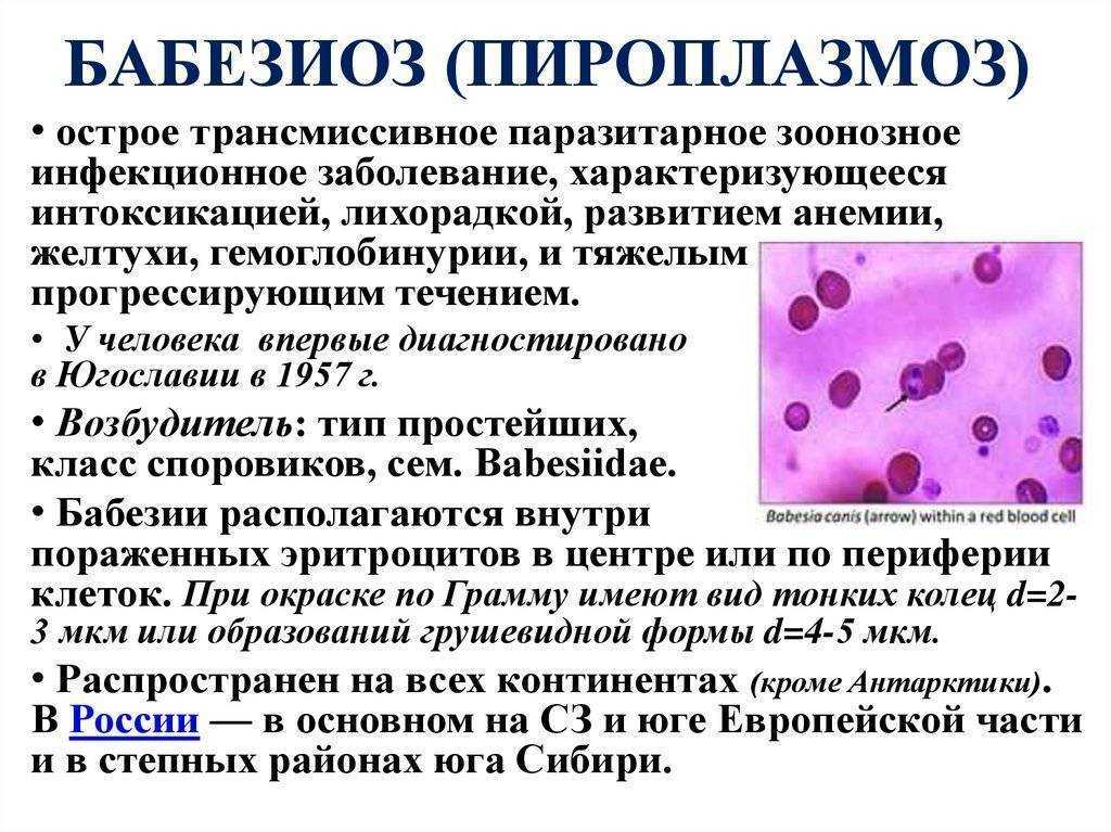 Вгкб № 2