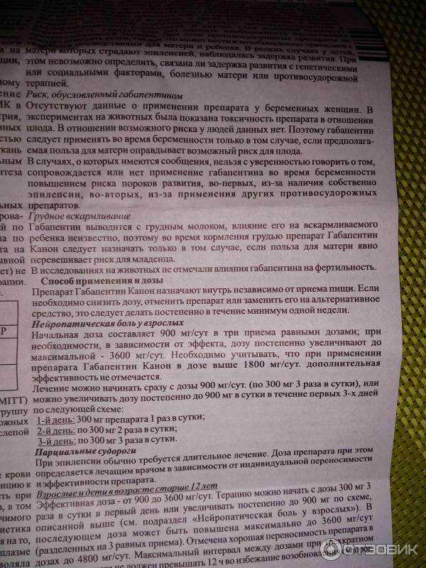 Лактобифид для кошек: инструкция по применению и полезные рекомендации
