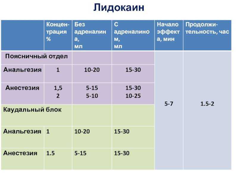 Цефтриаксон для кошек, инструкция по применению: как разводить раствор для укола, в какой дозировке?