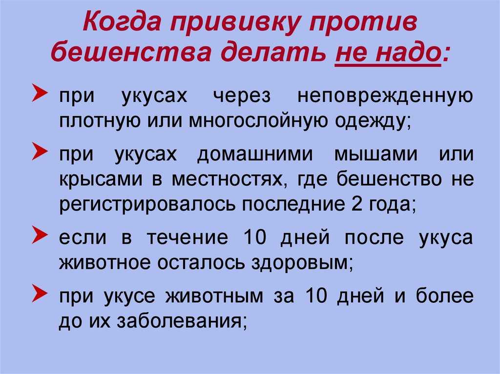 Вакцинация собак от бешенства – подготовка и противопоказания