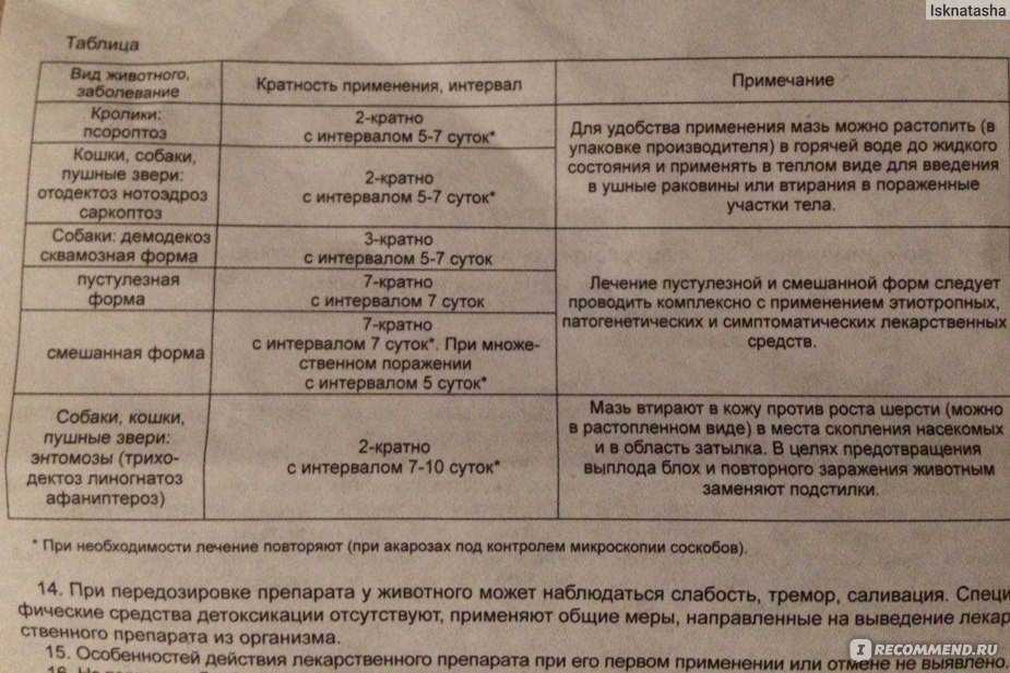 Мазь аверсектиновая для кошек: инструкция по применению и отзывы