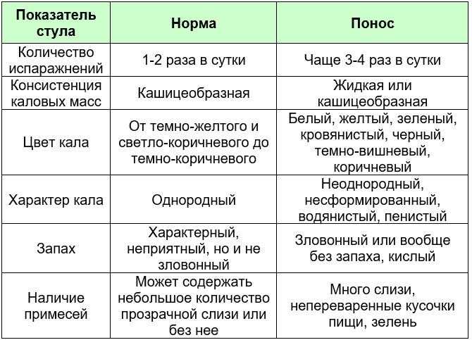 Как часто котёнок ходит в туалет: норма и отклонения