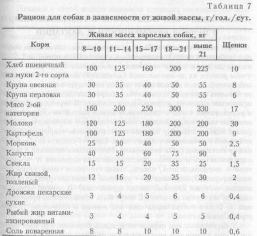 Чем кормить таксу: натуральные продукты и готовые корма