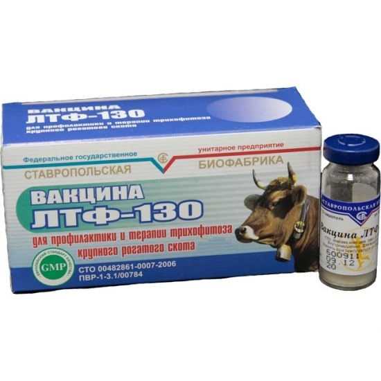 Можно ли капать альбуцид кошкам в глаза: описание препарата