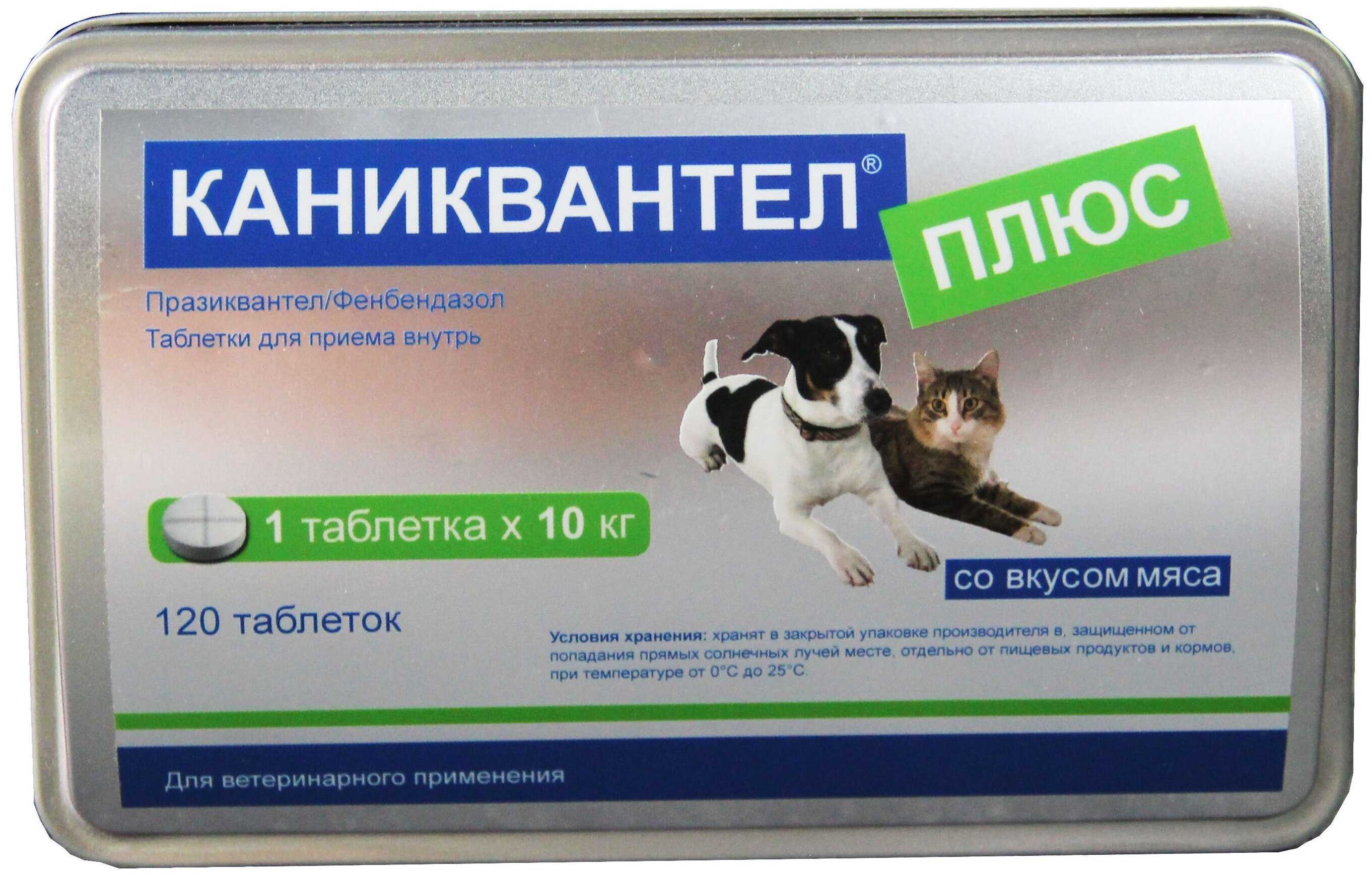 Каниквантел плюс для кошек: инструкция по применению, отзывы, аналоги, меры предосторожности