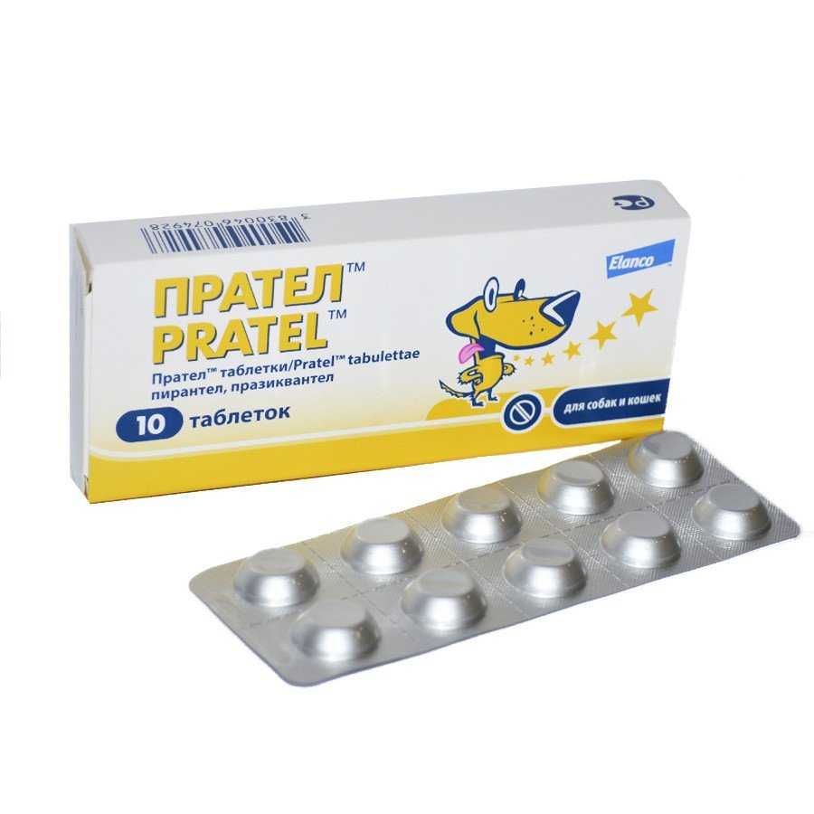 Празител для кошек и котов (таблетки и суспензия): инструкция по применению у взрослых животных и котят, отзывы, аналоги
