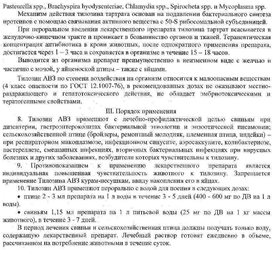 Тилозин 50, 200 для кошек: инструкция по применению в ветеринарии, показания и противопоказания, аналоги, отзывы