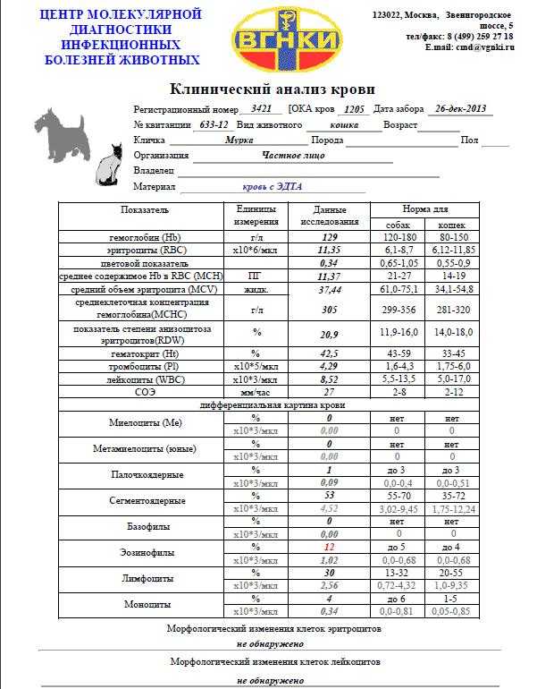 Интерпретация результатов биохимического исследования крови и корреляции показателей