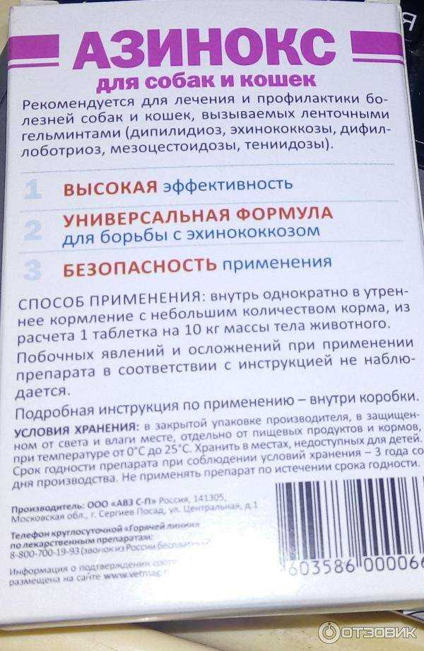 Кламоксил для кошек: инструкция по применению