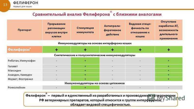 Почему стоит обратить внимание на средство имунофан для кошек и котов?