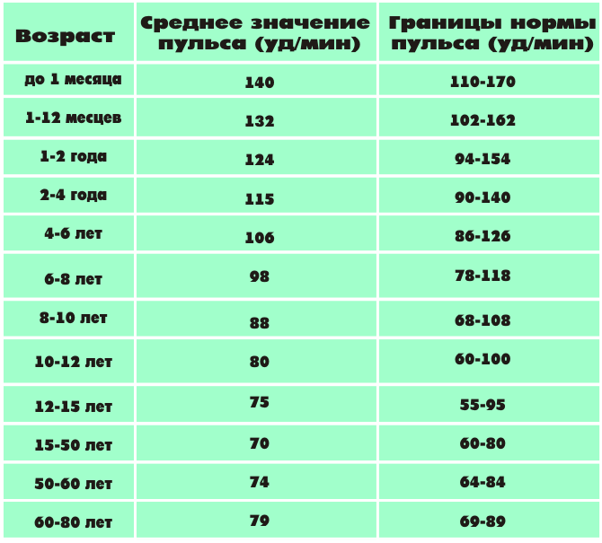Тахикардия у кошек. что делать, если сердце на пределе
