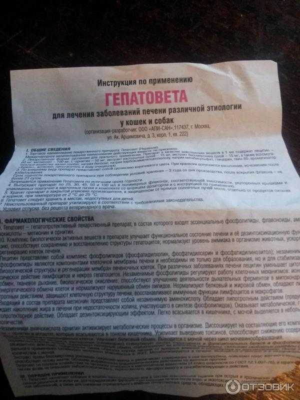 ᐉ гепатовет для собак — инструкция по применению - ➡ motildazoo.ru