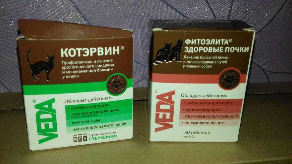 Фитоэлита здоровые почки для кошек: состав, инструкция, отзывы