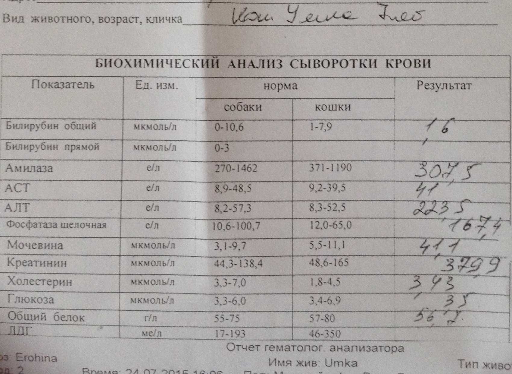 Норма креатинина в моче у кошек