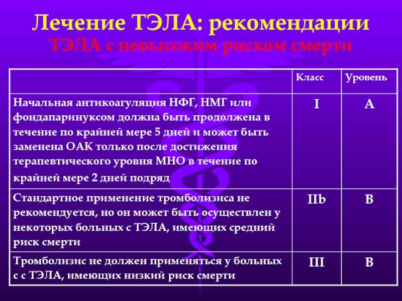 Тромбоэмболия у животных