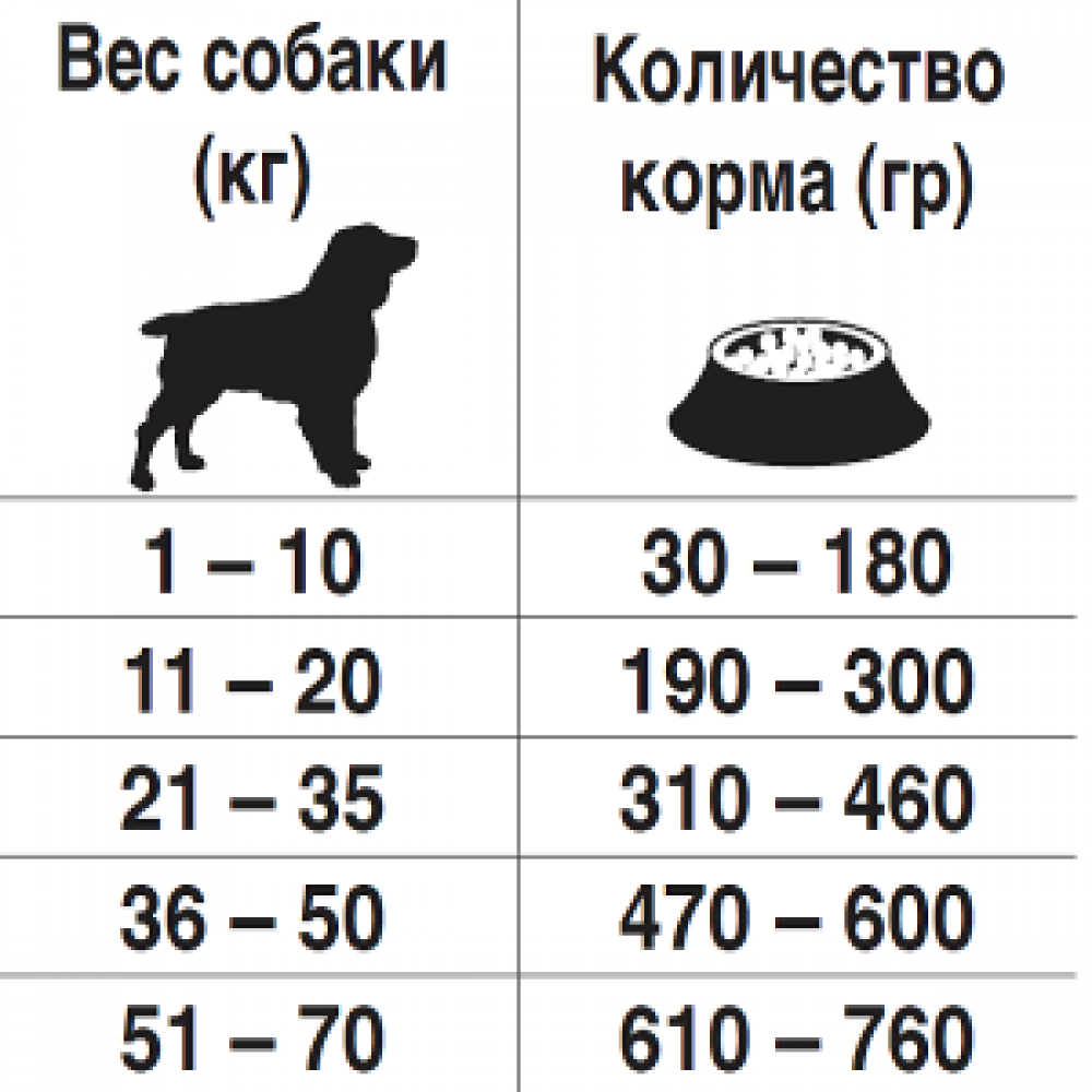 10 лучших сухих кормов для шарпея: рейтинг 2020 года