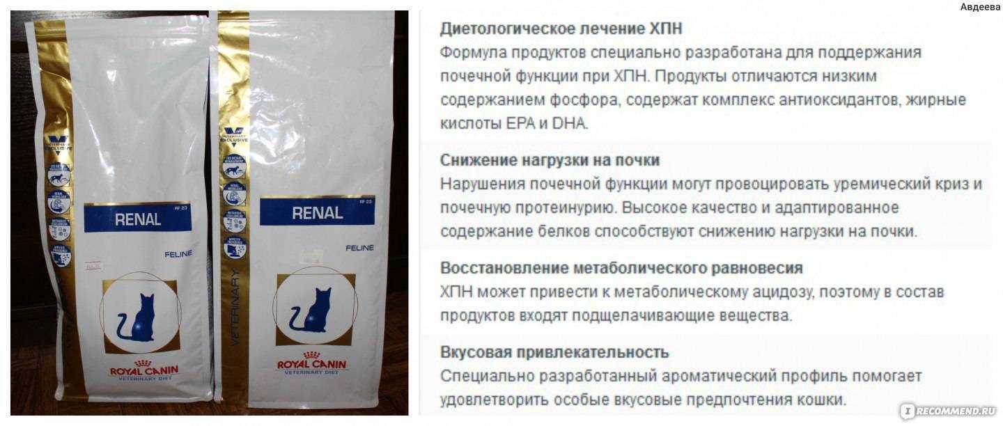 Как и чем кормить кота при почечной недостаточности?