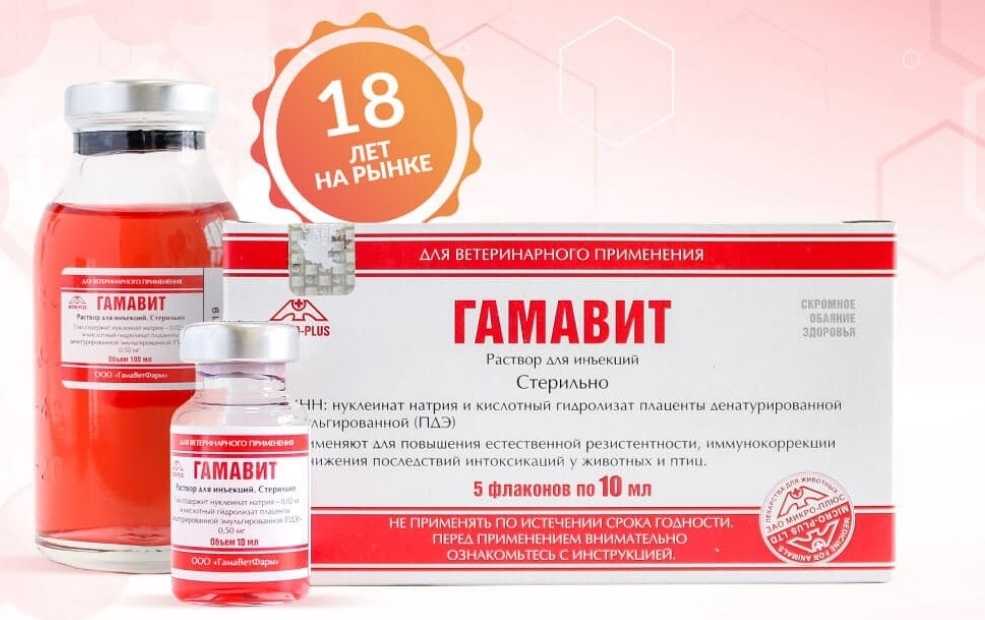 Гамавит для кошек: инструкция, дозировка, состав, применение