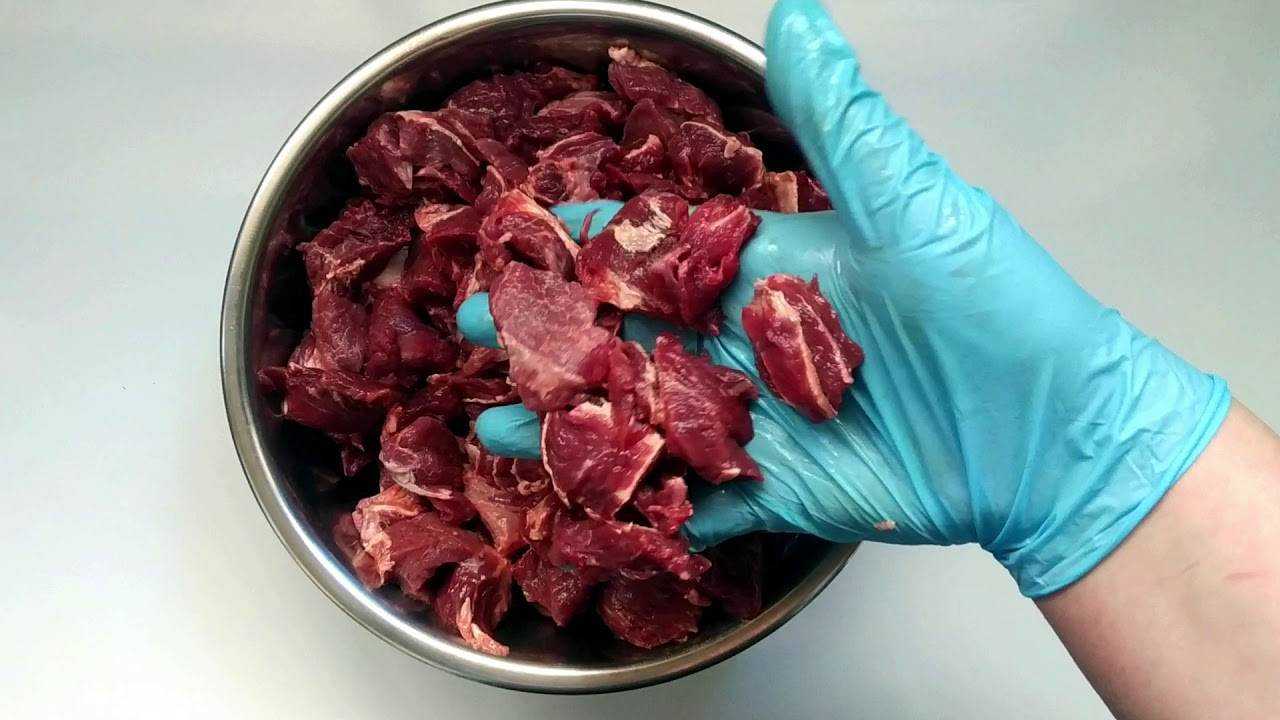 Каким мясом можно и нельзя кормить собаку