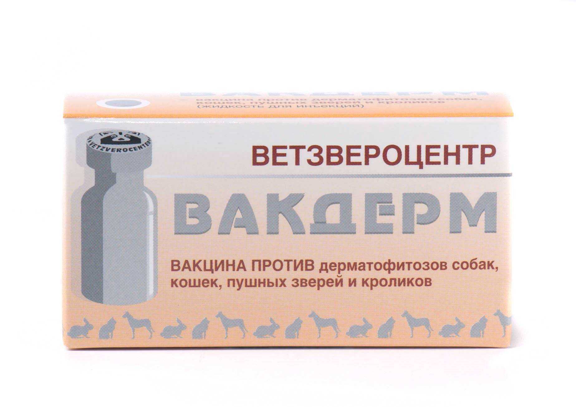 Вакдерм вакцина для кошек и собак. применение, побочные действия и цена вакдерма